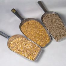 Geflügelfutter & Zubehör